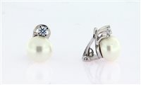 Orecchini Forever Gioielli Donna Orecchini Perla in Argento Perla FGOR00299 - FGOR00299